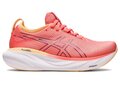 Asics Gel-Nimbus 25