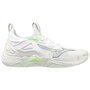 Mizuno Wave Momentum 3 
