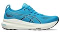 Asics Gel-Kayano 31