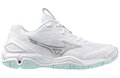 Mizuno Wave Stealth 6