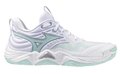 Mizuno Wave Momentum Elite