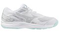 Mizuno Stealth Star 3 