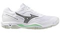 Mizuno Wave Phantom 3