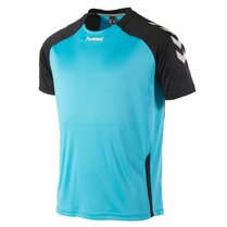 Hummel Aarhus shirt Hummel Aarhus shirt