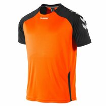 Hummel Aarhus shirt Hummel Aarhus shirt