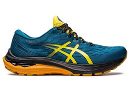Asics GT-2000 11 TR Asics GT-2000 11 TR