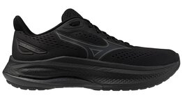 Mizuno Wave Inspire 22