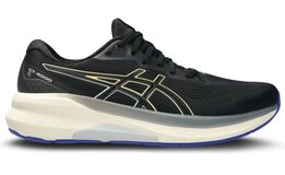 Asics GT-4000 4 Wide