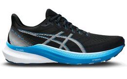 Asics Gel-Pursue 10