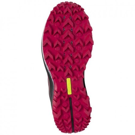 Saucony Peregrine 10