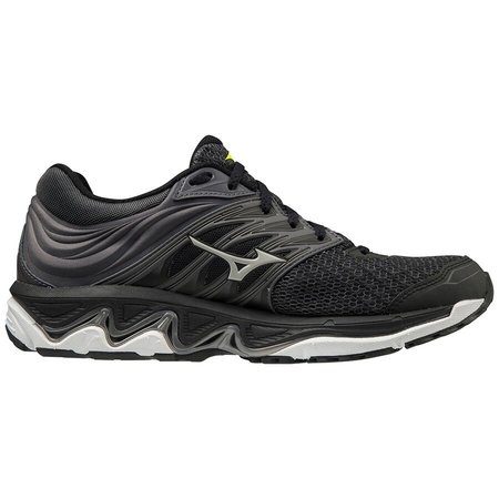 Mizuno Paradox 5