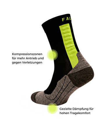 Falke Achilles M