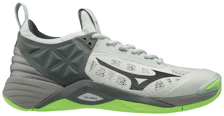 Mizuno Wave Momentum