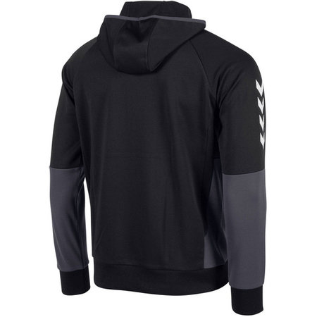 Hummel Authentic Pro Hooded 1/2 zip